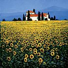 Field Canvas Paintings - Sunflower Field